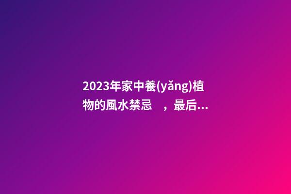2023年家中養(yǎng)植物的風水禁忌，最后一點很多人忽略了
